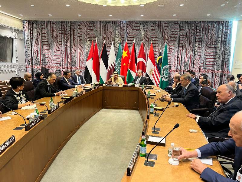وزير الخارجية يشارك ضمن لجنة وزارية عربية وإسلامية فى جلسة مجلس الأمن
