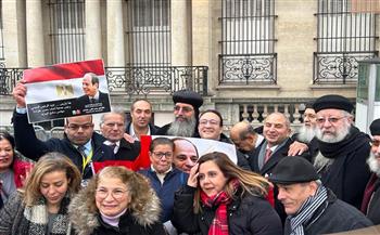   لقطات-من-المظاهر-الاحتفالية-للجاليات-المصرية-في-دول-السعودية-وقطر-وهولندا-وفرنسا-|صور