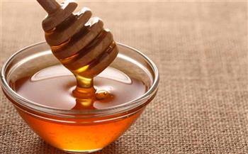   العسل-المصري-صناعة-رابحة-تصدير-النحل-يزيد-خزانة-الدولة-بالعملة-الصعبة