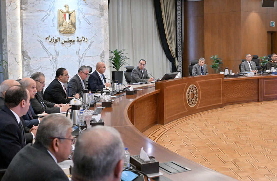 الحكومة توحيد الإجراءات الجمركية وآلية التنفيذ بجميع الموانئ المصرية فيما يخص تجارة الترانزيت