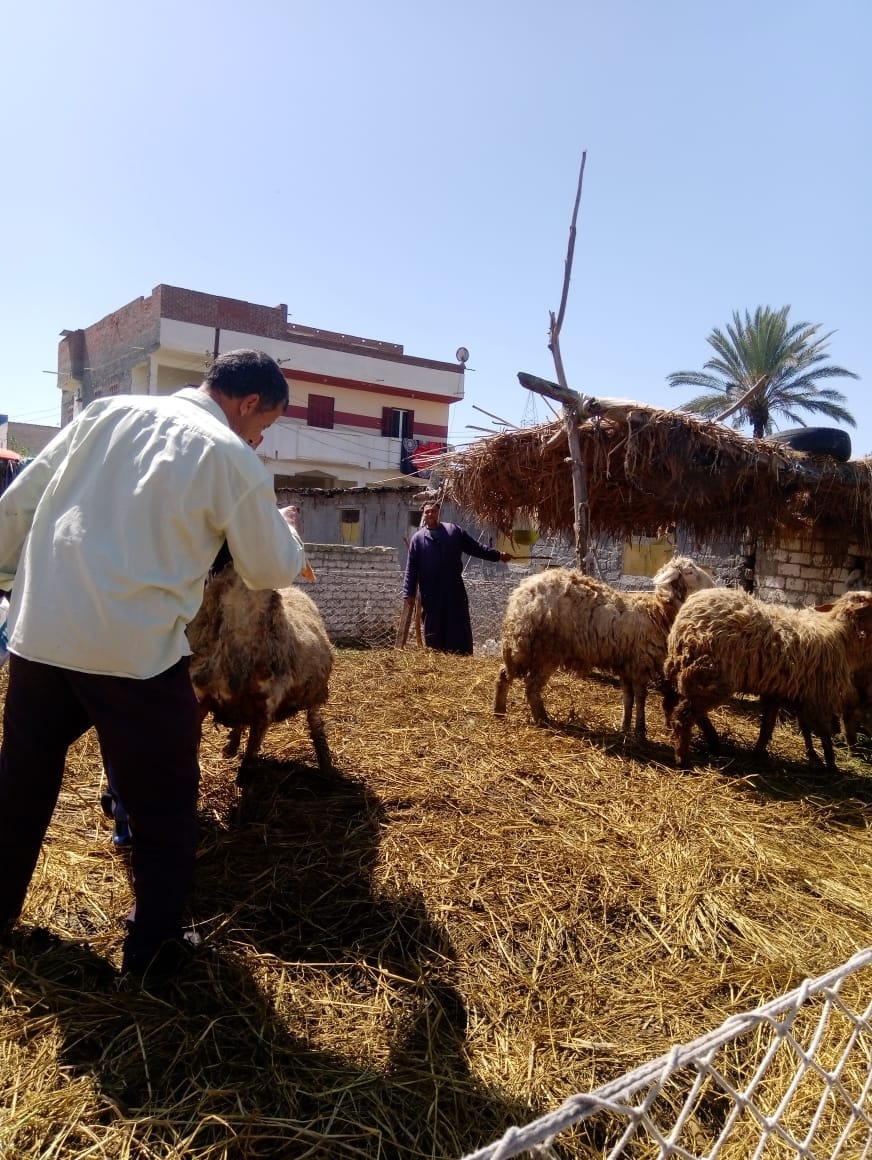  تنظيم قافلة سكانية بقرية سمخراط فى محافظة البحيرة