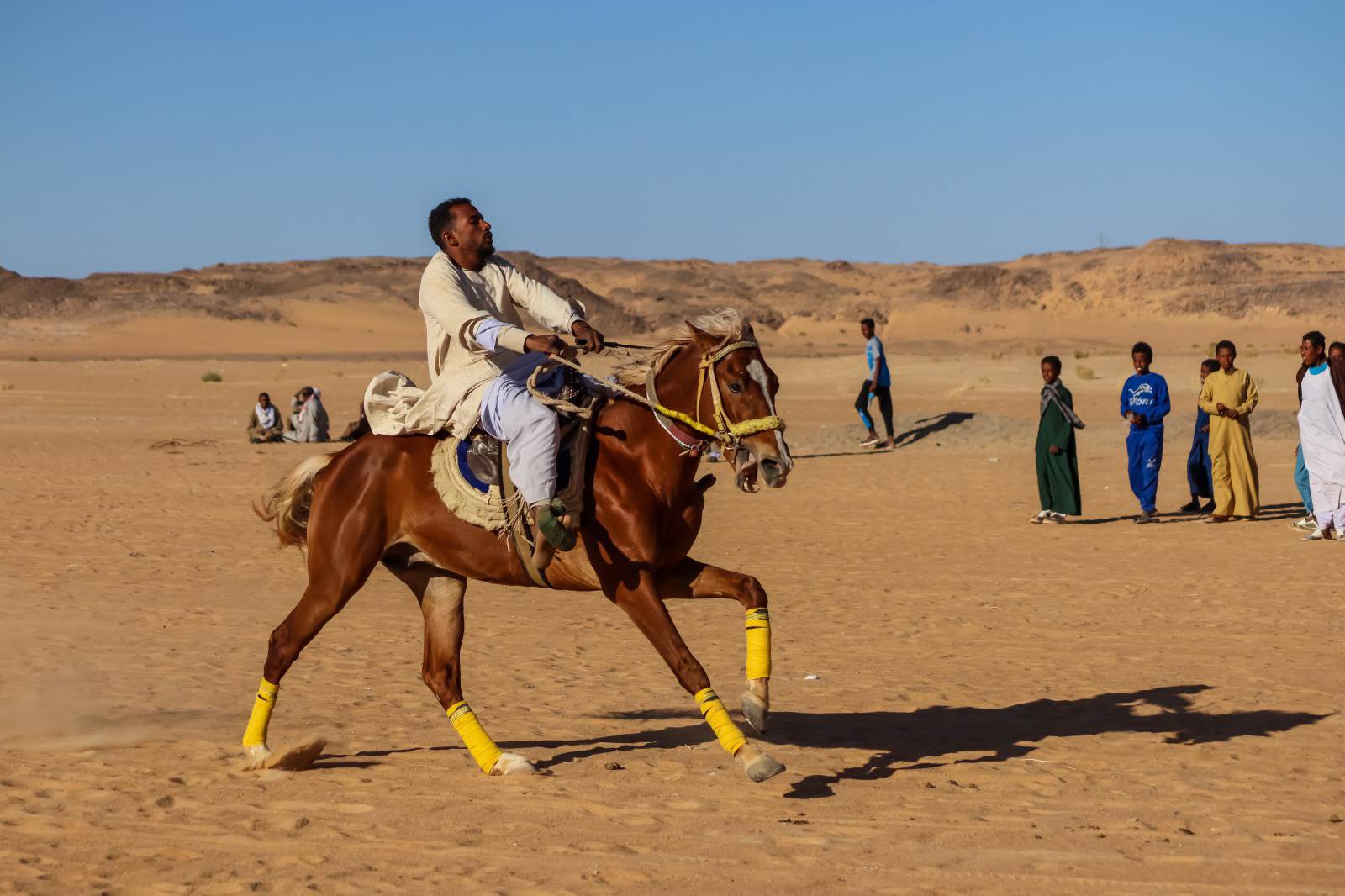  «المرماح».. حكايات وأسرار سباق الخيل واحتفالات التحطيب في صعيد مصر | صور