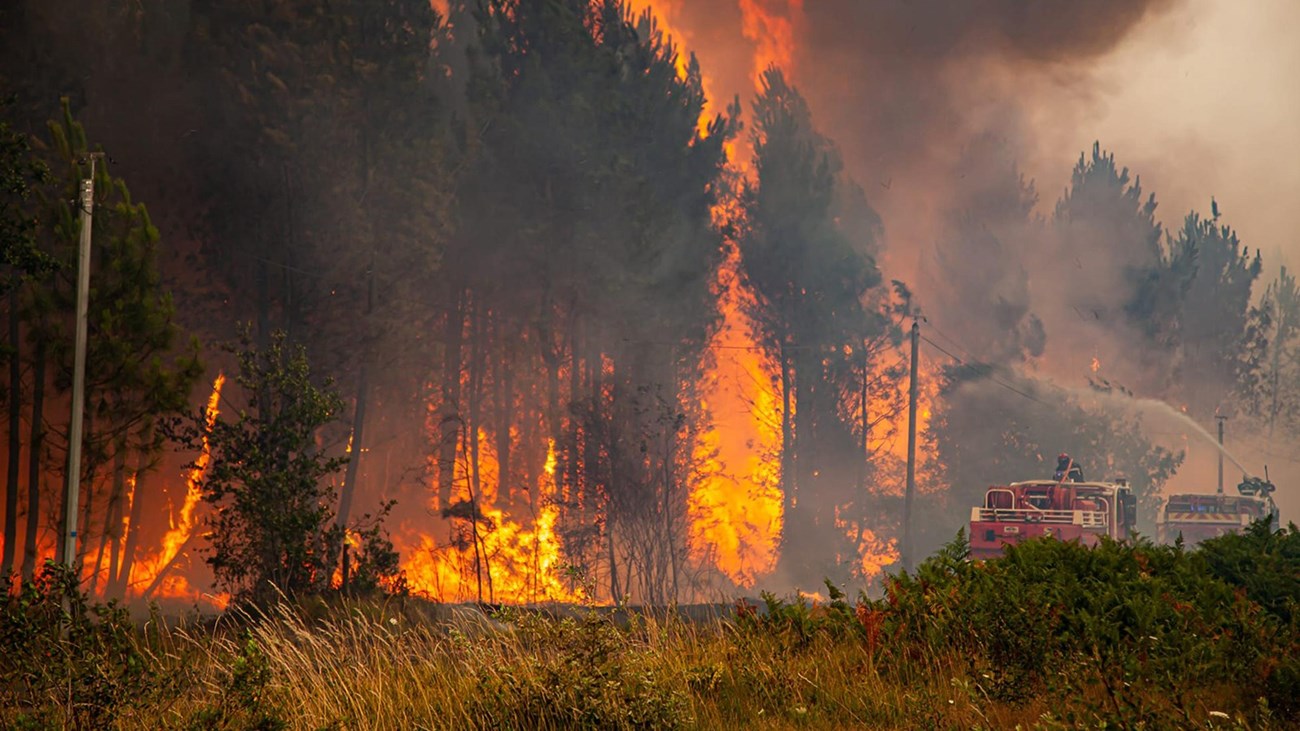 أول حريق غابات كبير في إسبانيا منذ بداية  يدمر نحو  هكتار