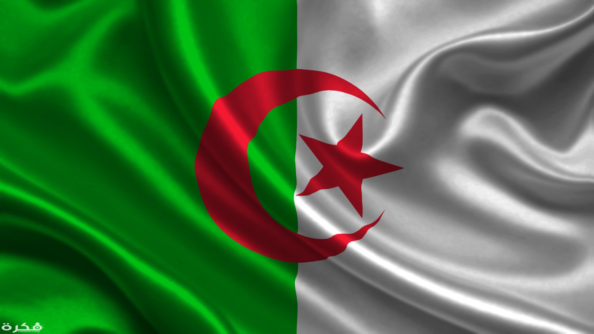 الجزائر رقم قياسي في مجال تصدير الكهرباء والمعدات بإجمالي  مليون يورو