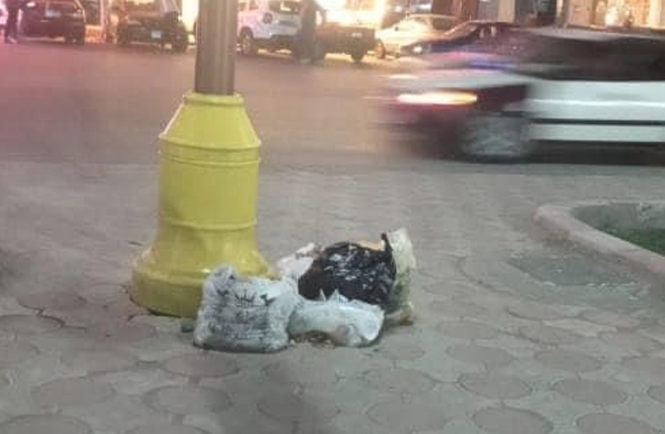 تجنبًا للمساءلة القانونية.. حي شرق المنصورة يحذر من إلقاء القمامة بالجزيرة الوسطى بـ«قناة السويس»