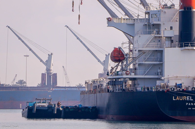 تداول بضائع وحاويات  سفينة في ميناء دمياط 