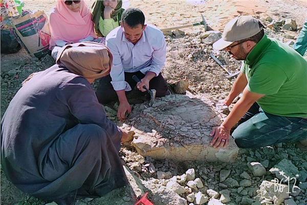 عمرها أكثر من  مليون سنة فريق بحثي بجامعة القاهرة يكتشف سلحفاة نهرية بمدينة الخارجة 