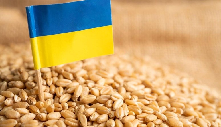 بولندا وأوكرانيا تتوصلان إلى اتفاق بشأن خلافهما حول الحبوب