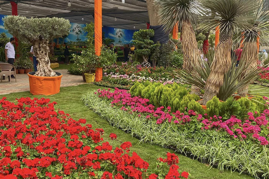الزراعة" تعلن فتح معرض زهور الربيع بالمتحف الزراعي للجمهور بداية من غد 