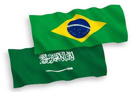 السعودية والبرازيل تبحثان سبل تعزيز التعاون الثنائي