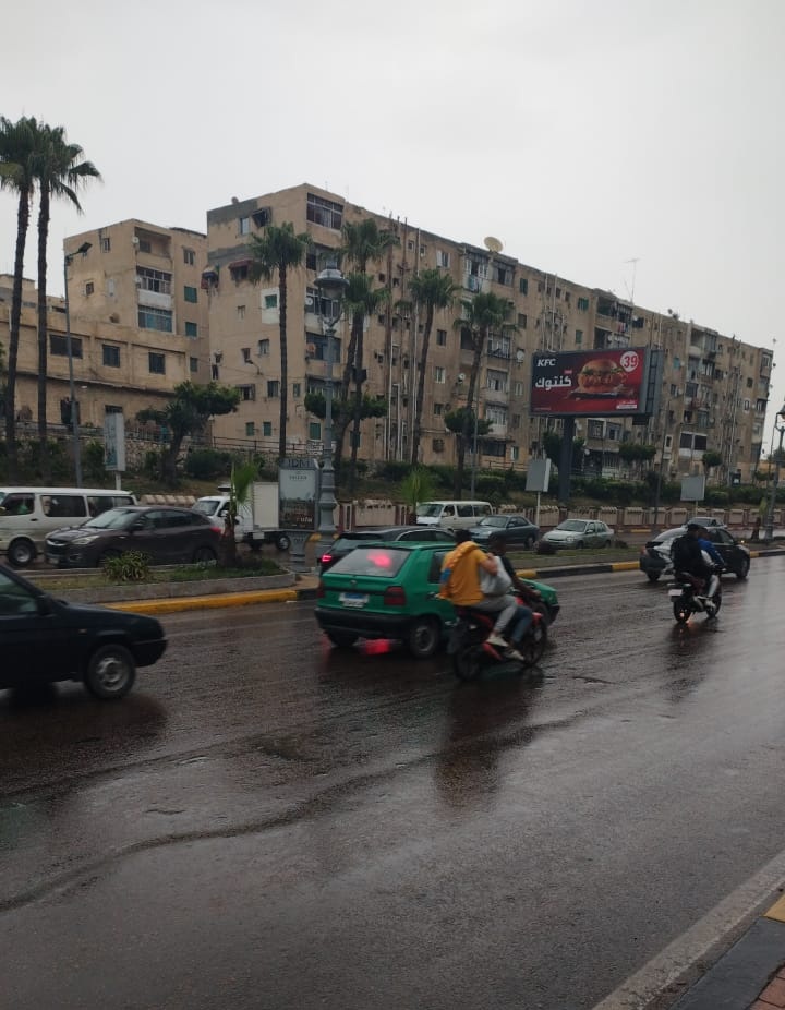 أمطار متوسطة تضرب أنحاء من محافظة الإسكندرية