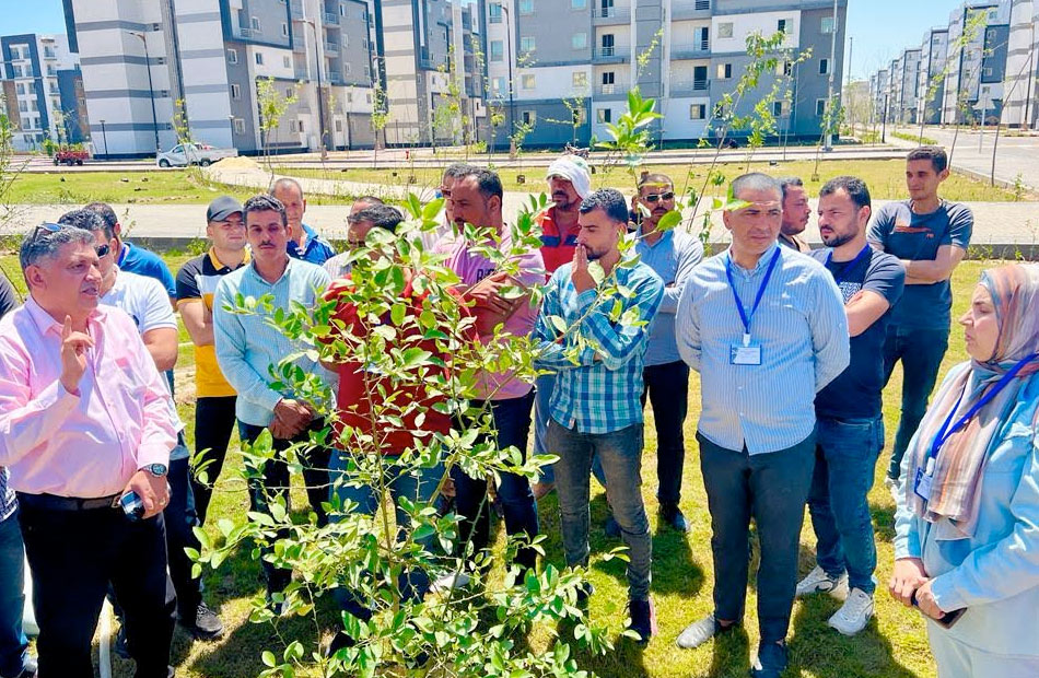 جهاز المنصورة الجديدة وسكان المدينة يشاركون في احتفالية اليوم العالمي للبيئة بزراعة الأشجار المثمرة