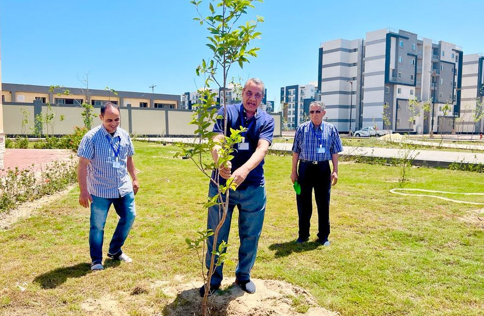 جهاز المنصورة الجديدة وسكان المدينة يشاركون في احتفالية اليوم العالمي للبيئة بزراعة الأشجار المثمرة