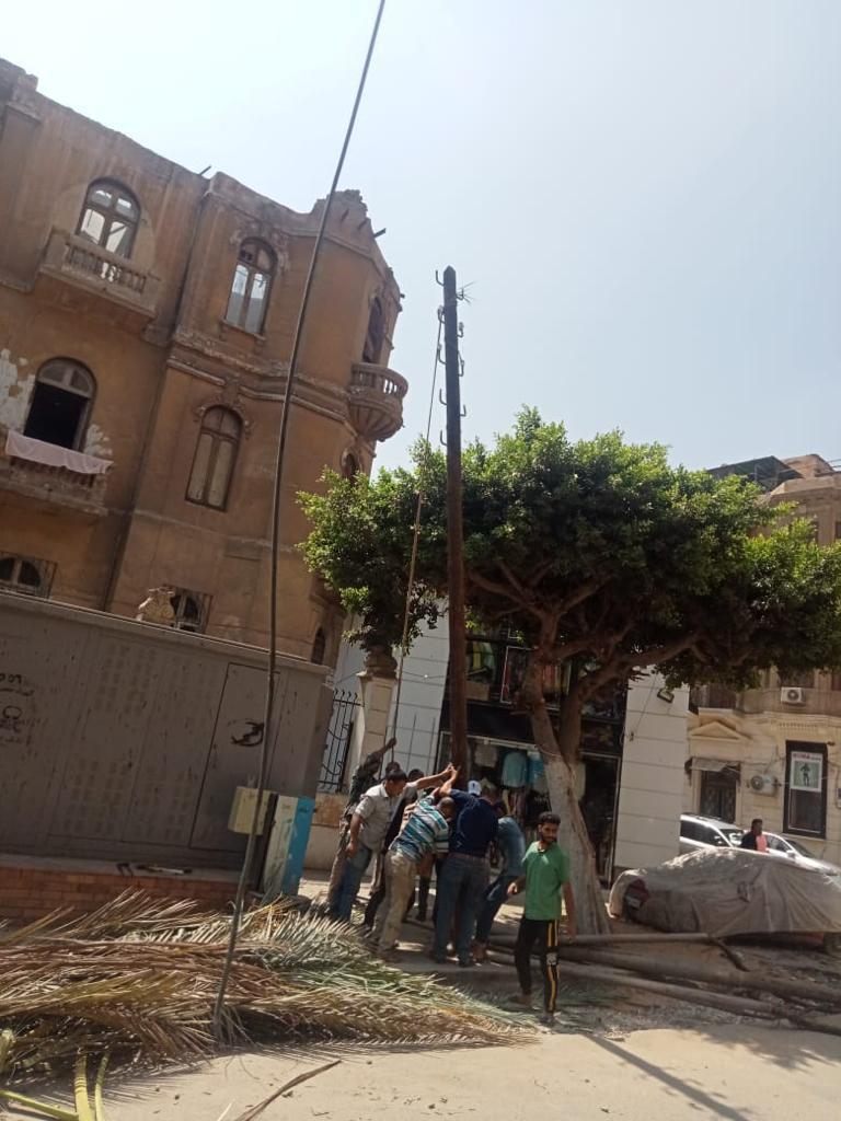   سقوط نخلة بحديقة منزل الأديب الراحل العقاد  بمصر الجديدة 