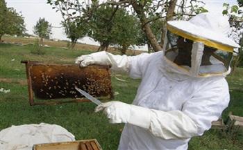    خطوات لحماية النحل من التغيرات المناخية