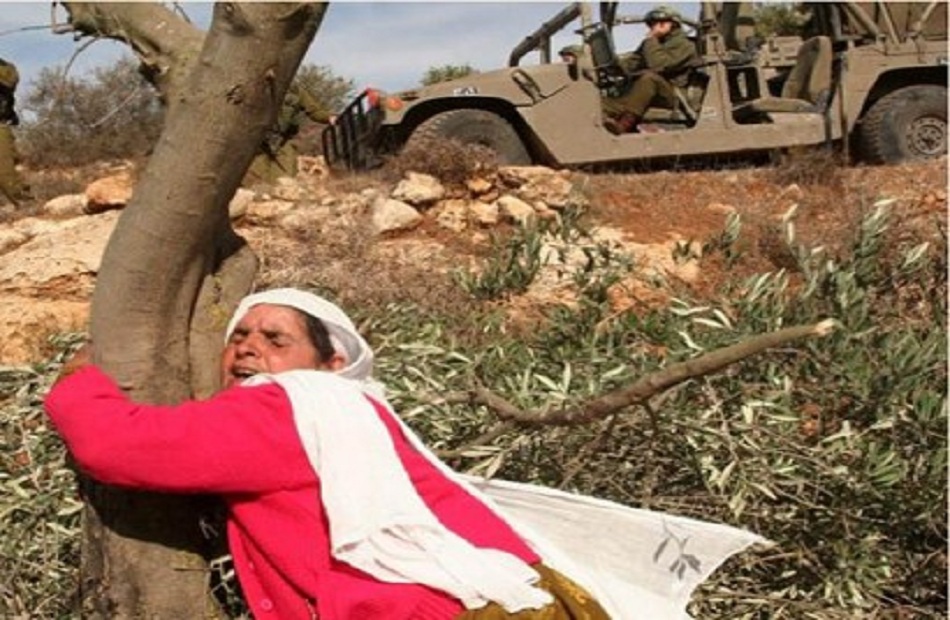 الخارجية الفلسطينية تطالب بضغط دولي حقيقي لوقف الاستعمار والاستيلاء على الأراضي وتوفير الحماية للفلسطينيين