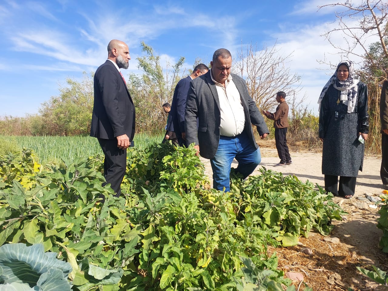 زراعة جنوب سيناء تنظم ورشة عمل للمزارعين والمهندسين لأساليب الري والتسميد الحديثة | صور