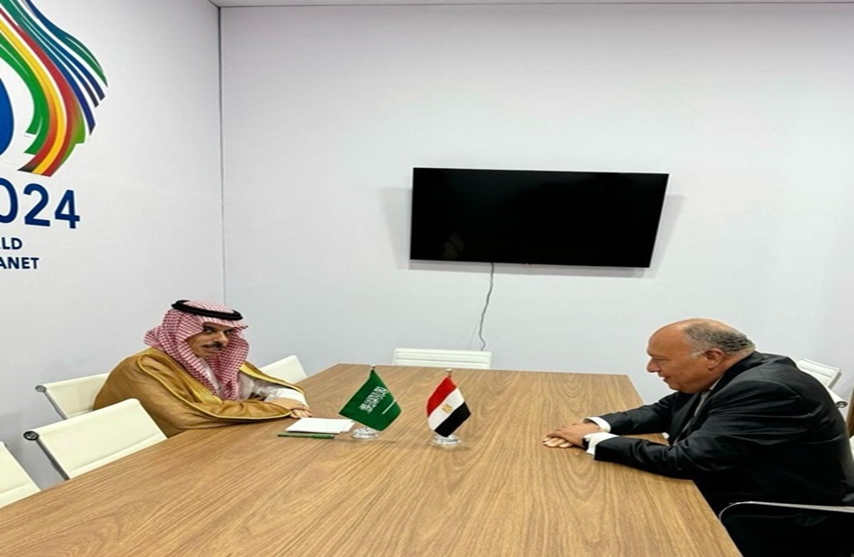 وزيرا خارجية مصر والسعودية يبحثان الأوضاع الإنسانية المتردية في قطاع غزة