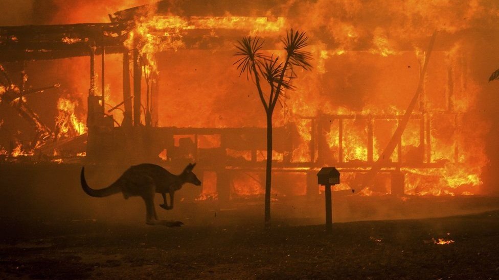 أستراليا: إجلاء 30 ألف مواطن من منازلهم بسبب حرائق الغابات