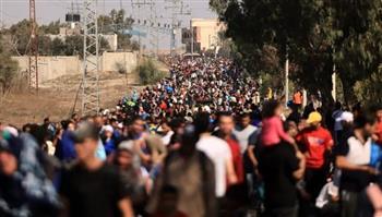 "القاهرة الإخبارية": مصر بدأت في إقامة معسكر النازحين رقم 2 بخان يونس بسعة 400 خيمة ويسع لحوالي 4000 شخص