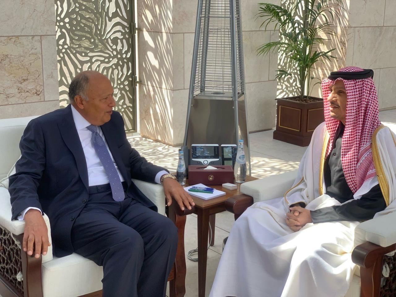 وزير الخارجية يعقد اجتماعًا ثنائيًا مع رئيس مجلس وزراء قطر |صور 