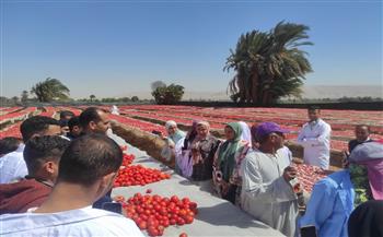   للتعرّف على تجفيف الطماطم طلاب التصنيع الغذائي بجامعة طيبة يزورون محطة الشهيد ماجد| صور       