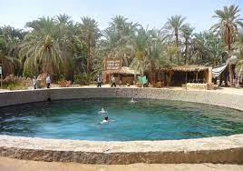 قصص نجاح مشروعات مرتبطة بمنتج السياحة الاستشفائية في عدد من المقاصد المصرية