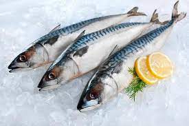 أسعار الأسماك في السوق اليوم الجمعة  مارس 
