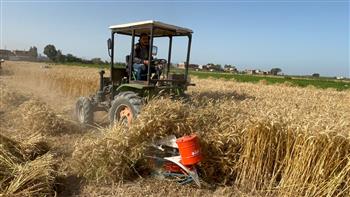   آلات-الحصاد-تُعانق-سنابل-الذهب-مزارعو- أبو-سنبل -بالإسكندرية-يُؤكدون-زيادة-إنتاجية-القمح--أضعاف|-فيديو