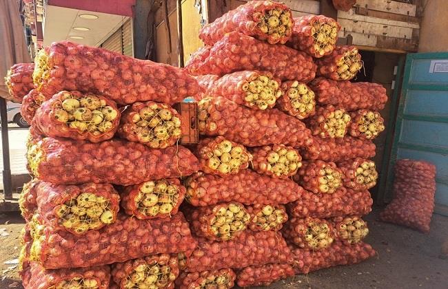 البصل الطازج فى مقدمة الخضروات المصرية المصدرة للخارج