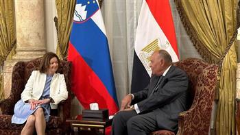   بدء-جلسة-مباحثات-ثنائية-بين-وزير-الخارجية-ونظيرته-السلوفينية-بقصر-التحرير-|صور