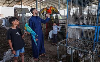;جمعة; حارس حديقة حيوانات غزة يقيم مأوى لعشرات الحيوانات بعد إنقاذها |صور