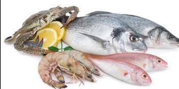تراجع كبير في أسعار الأسماك ببورسعيد.. الفسيخ ب 190 وسمك البردويل ب 150 جنيها 
