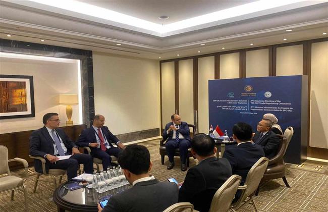 وزير الصناعة يستعرض مستجدات اللجنة التجارية بين مصر وإندونسيا