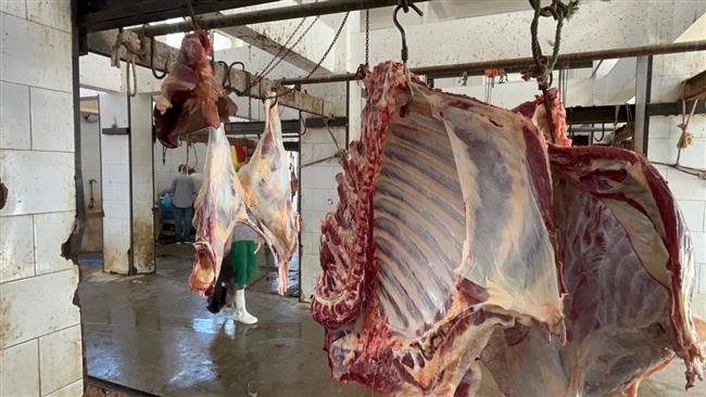 كيلو البتلو بـ جنيها استقرار أسعار اللحوم في الأسواق اليوم الأربعاء 