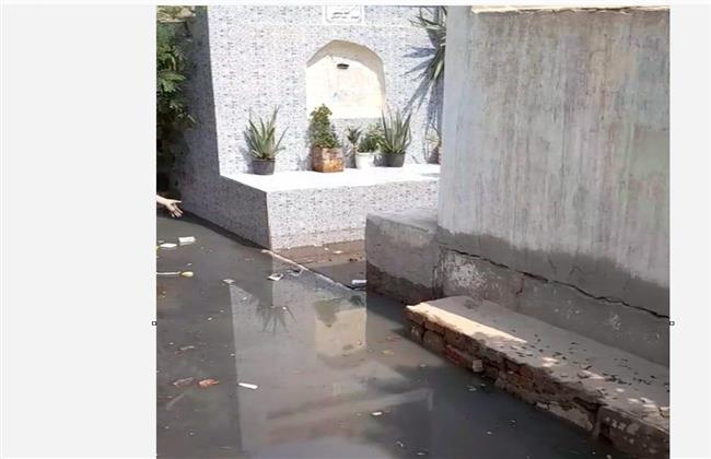 حقيقة غرق ضريح الشيخ الشعراوي بدقادوس في مياه الصرف الصحي| صور 